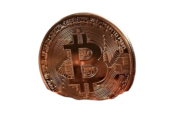 Vector Image